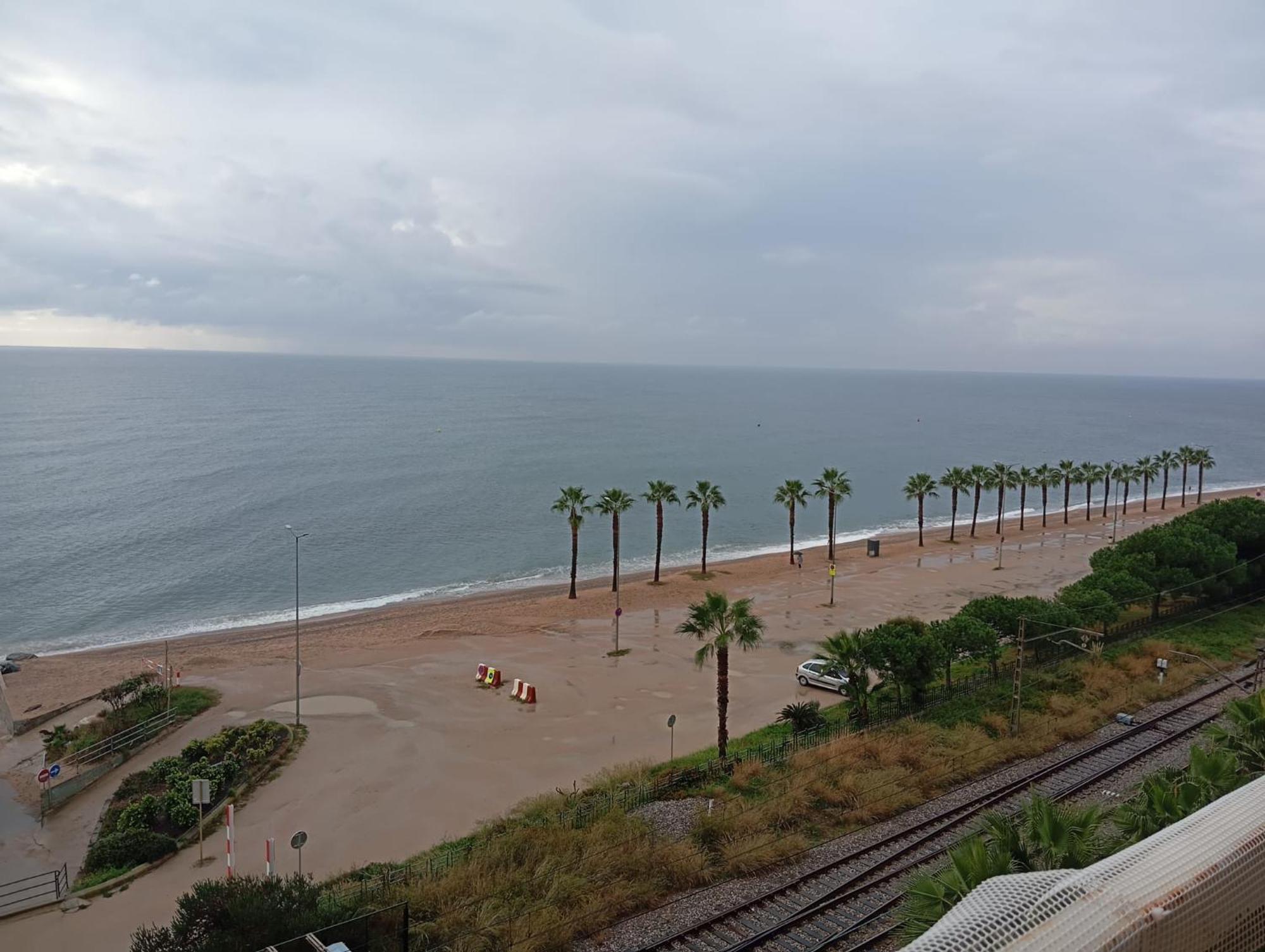 In Front Of The Pineda de Mar